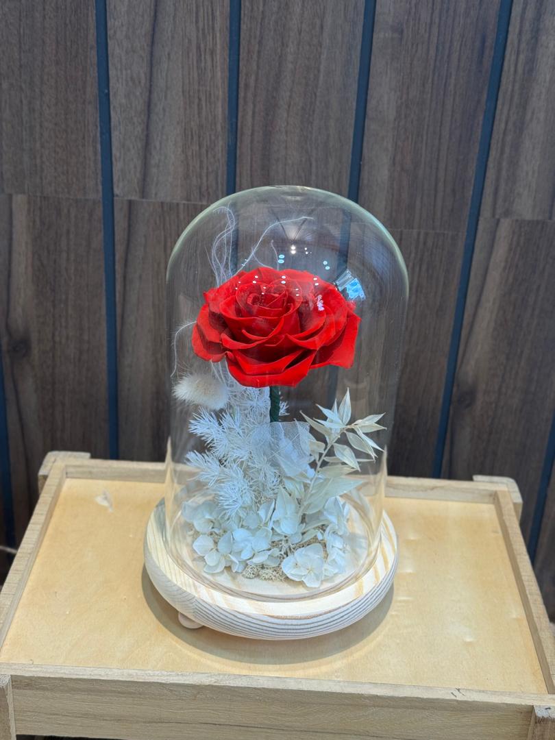 IMMORTAL ROSEBUD