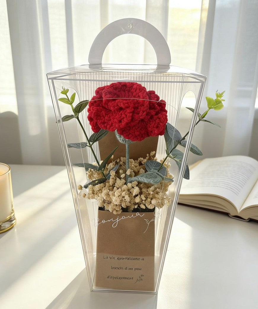 AMOUR CARNATION