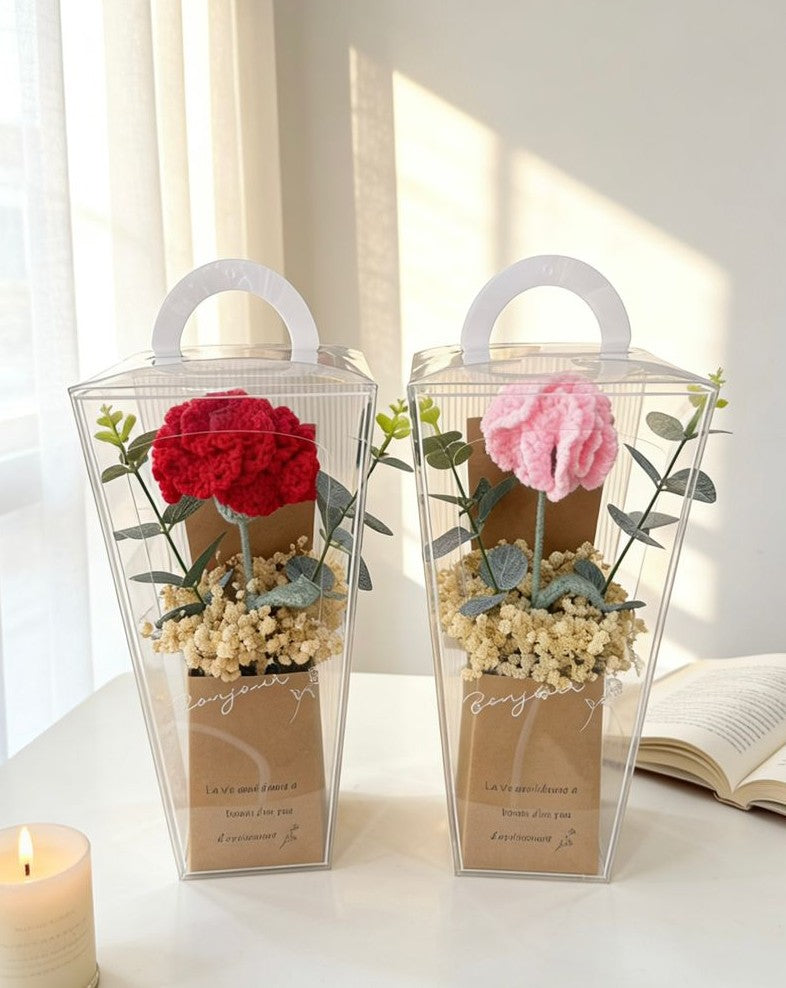 AMOUR CARNATION