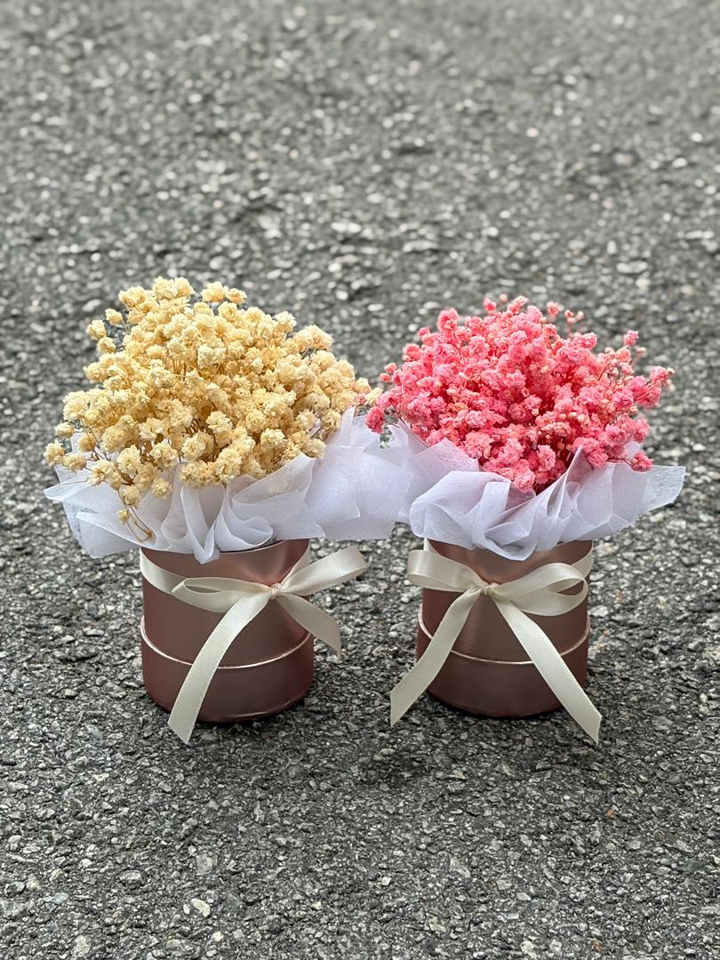 PRESERVED BABY BREATH TABLE DECO 2.0