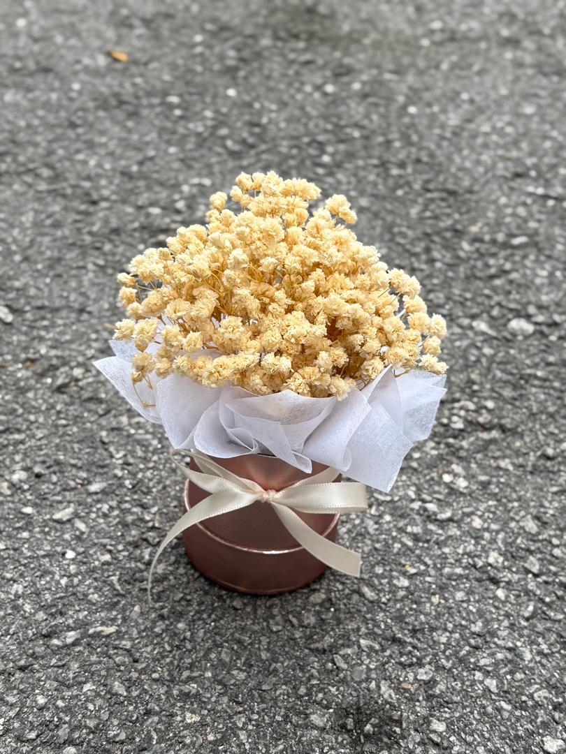 PRESERVED BABY BREATH TABLE DECO 2.0