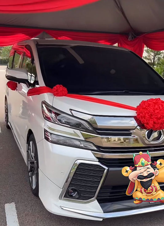 WEDDING CAR DECOR 2.0