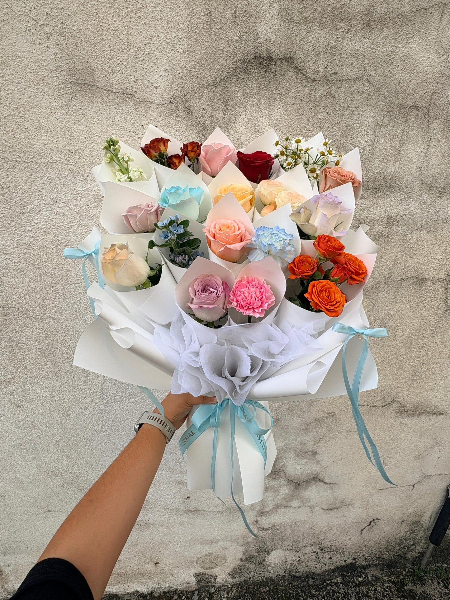 LOVE AMONG BLOSSOMS 2.0