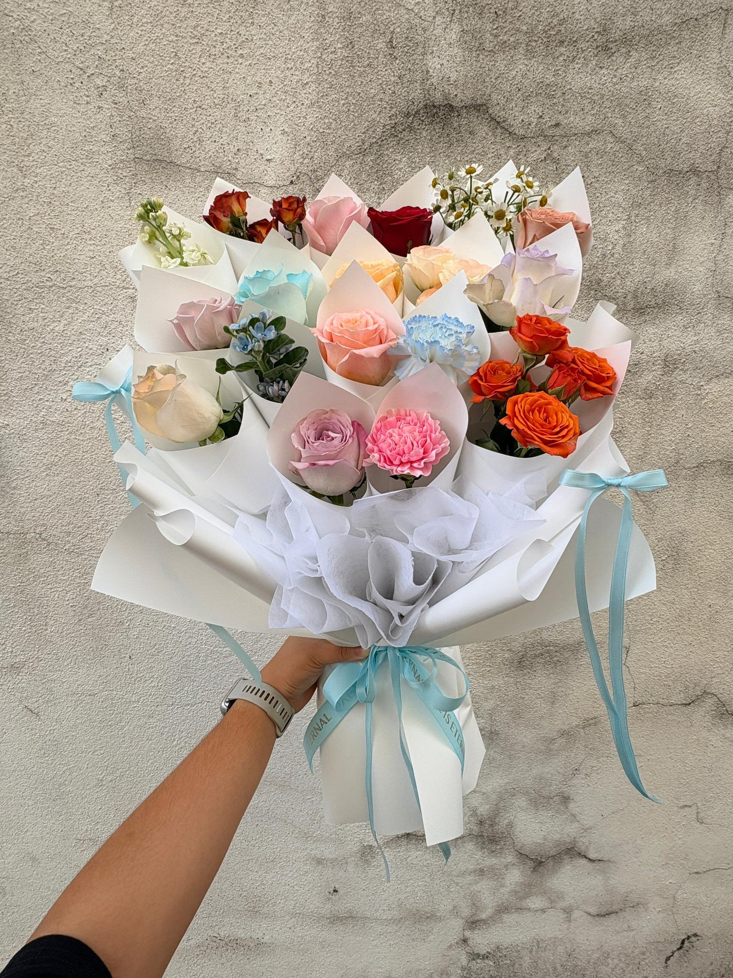 LOVE AMONG BLOSSOMS 2.0