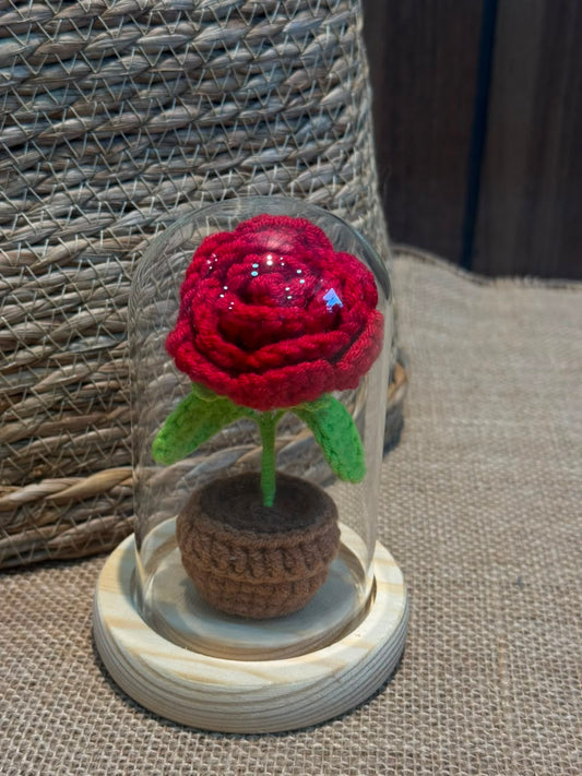 CAPTURED ROSE PETAL